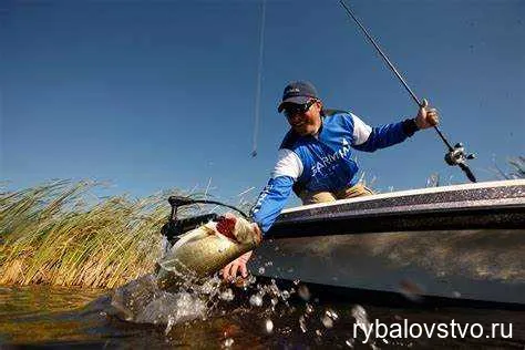 Обзор лучших мест на Обском водохранилище