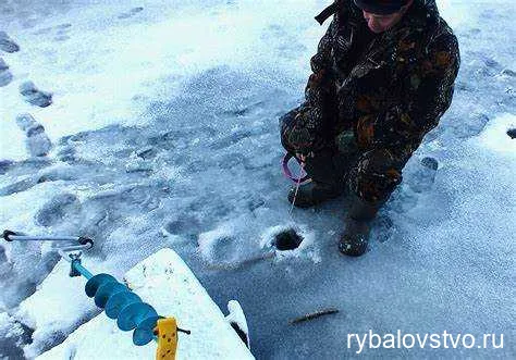 Выбор подходящего места для ловли плотвы