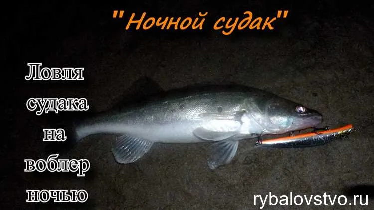 Ночная ловля судака на воблеры