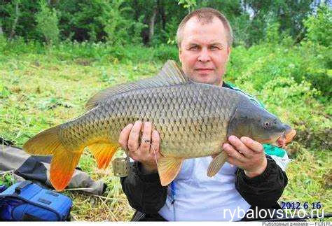 Секреты выбора места для удачной ловли карпа