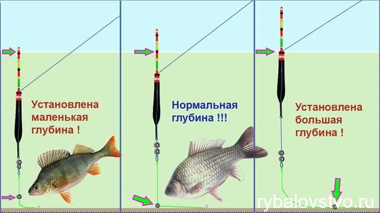 Выбор правильного поплавка и оснащение удочки