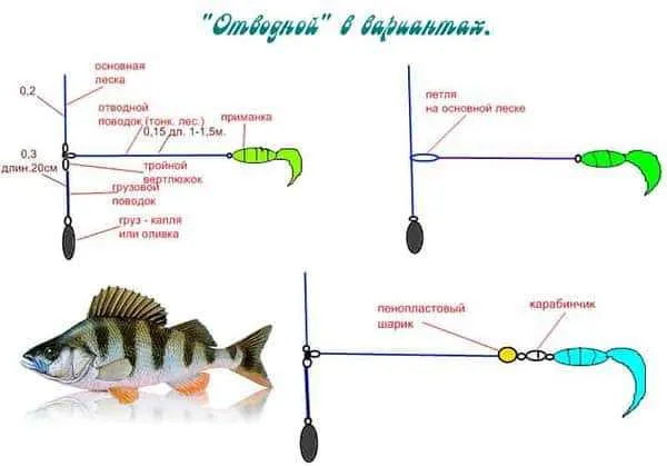 Особенности поведения окуня летом