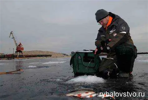 Секреты удачной ловли плотвы зимой на поплавок