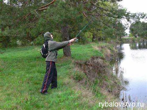 Секреты успешной ловли голавля на майского жука