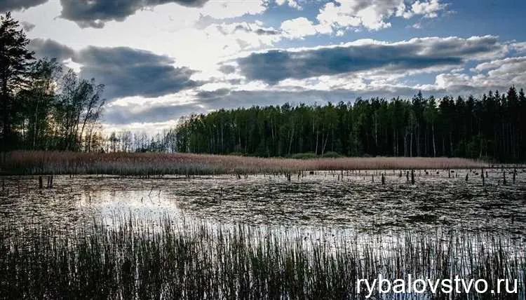 Применение удочки и поплавка