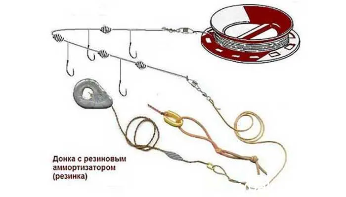 Особенности поведения карасей и их местообитания