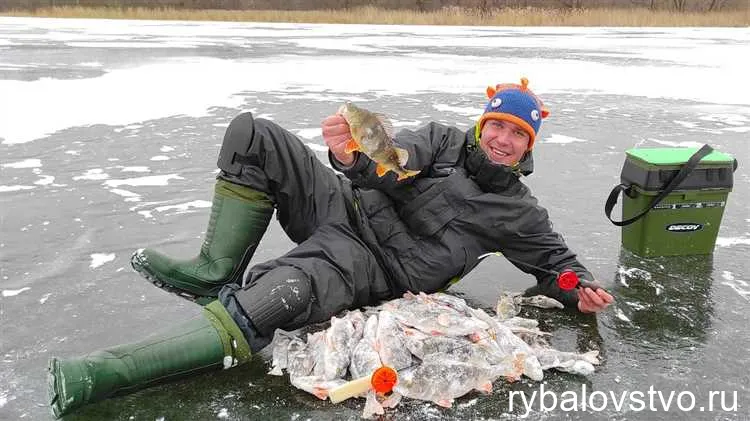 Окунь - мастер маскировки в водоемах