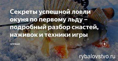 Особенности поведения окуня в зимний период