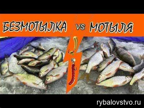 Техника ловли плотвы на мормышку