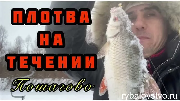 Основные правила подметки корма для плотвы