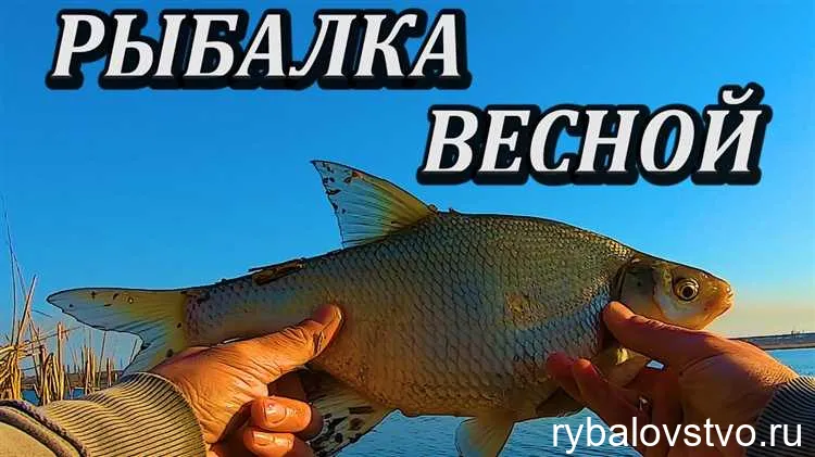 Секреты успешной рыбалки на голавля ранней весной