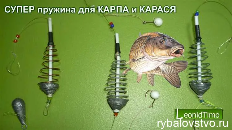 Оптимальные условия для успешной ловли карпа