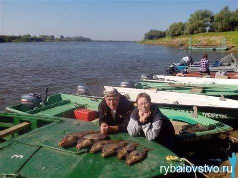 Ловля карпа с донкой на Обском море: эффективные советы и тактики