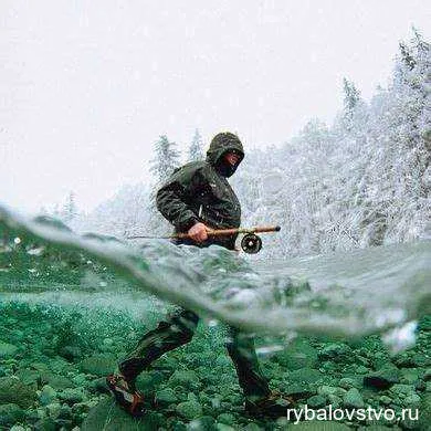 Уникальные места обитания налима в Сибири