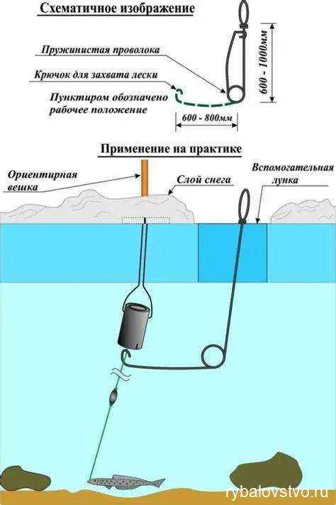 Лучшие способы ловли зимней щуки с поставушками