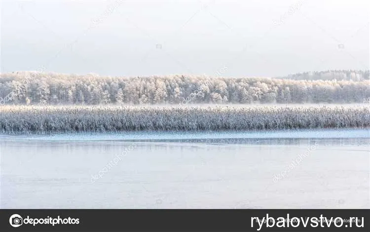 Увлекательное зрелище катания на коньках