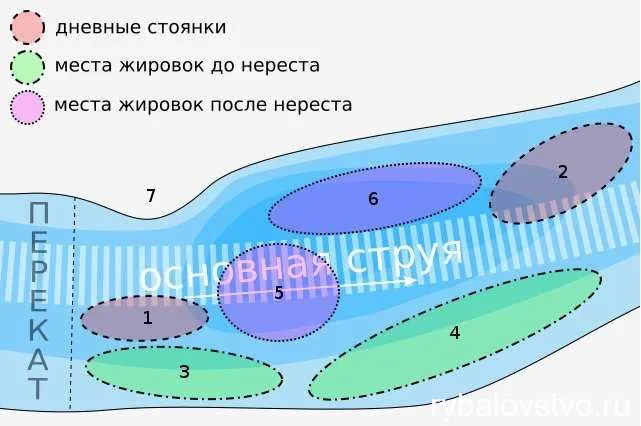 Подготовка необходимой снасти и приманок