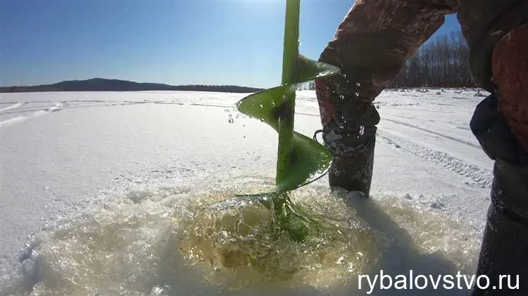 Тайные приманки и наживки для налима