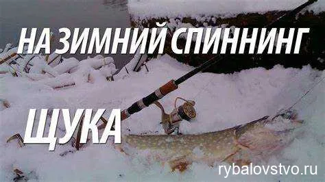 Зимняя ловля щуки на живца